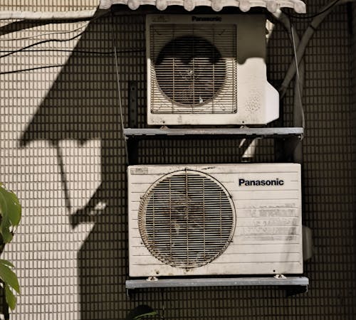 pexels-photo-19277413